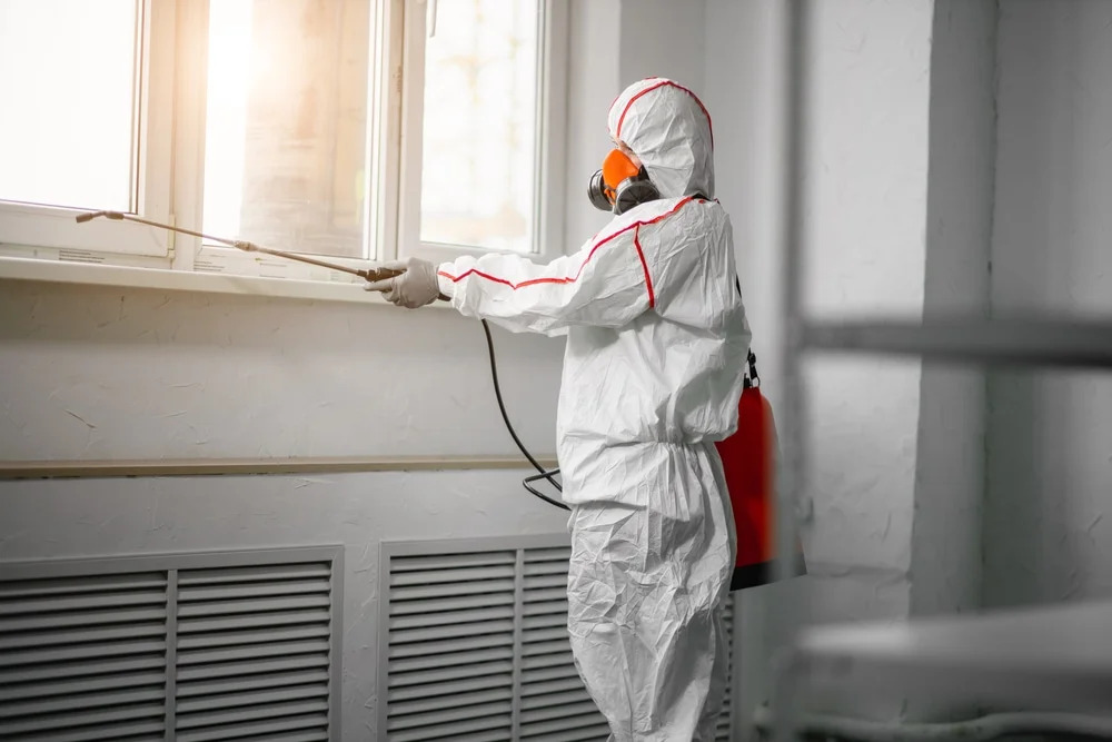 Professional mold remediation services in Scott Air Force Base, IL
